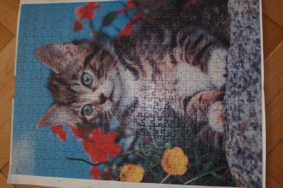 Puzzle obraz kočky II.