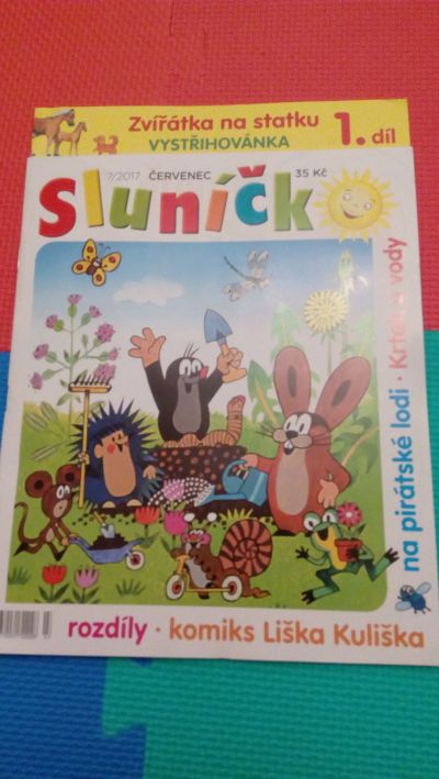 Slunicko